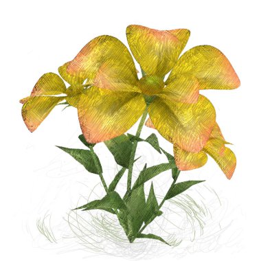 sonbahar yaprakları beyaz arkaplanda izole