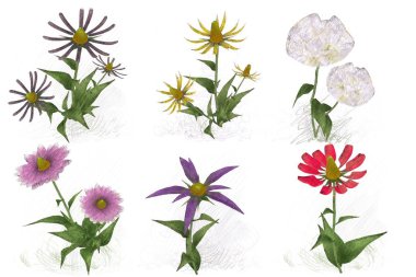 Beyaz arka planda güzel suluboya çiçekler