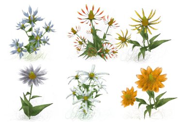 beyaz zemin üzerine suluboya çiçek