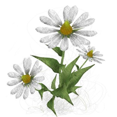 Beyaz arkaplanda izole edilmiş suluboya çiçekleri