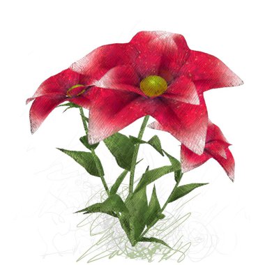 kırmızı gül beyaz arkaplanda izole