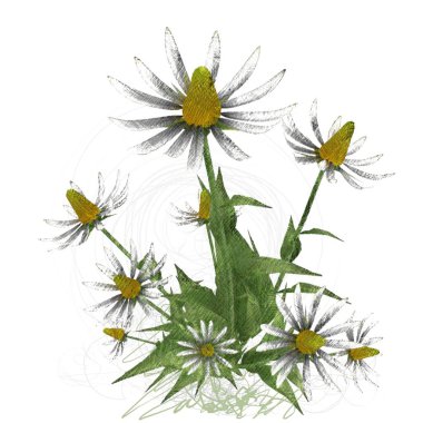 Beyaz arka plan üzerinde izole suluboya