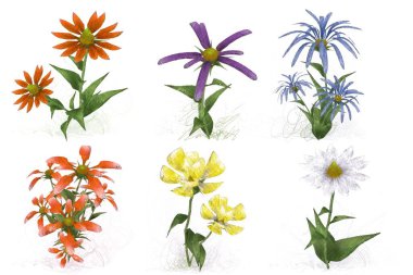 Beyaz arka planda suluboya çiçekler seti