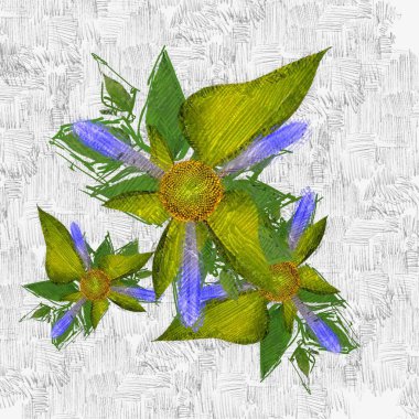 Beyaz bir arka plan üzerinde renkli çiçekler