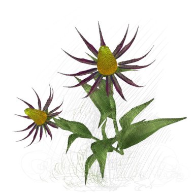 Beyaz arkaplanda izole edilmiş noel ağacı