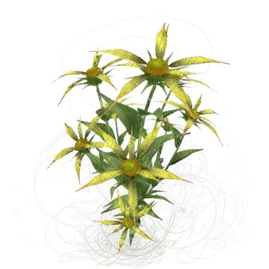 beyaz zemin üzerine suluboya çiçek