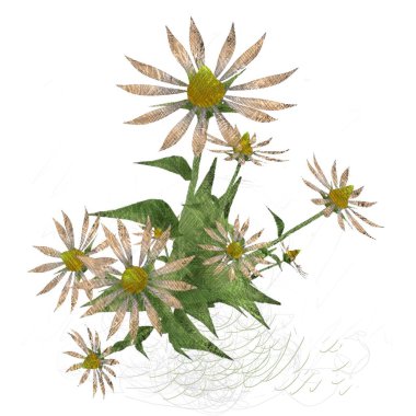 beyaz zemin üzerine suluboya çiçek