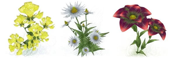 Aquarellblumen Isoliert Auf Weißem Hintergrund — Stockfoto