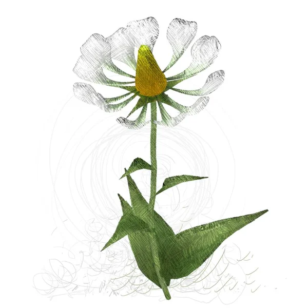 Beyaz Arka Plan Üzerinde Izole Dağınık Grungy Çiçek — Stok fotoğraf