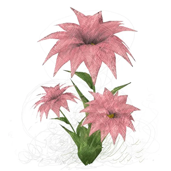 2Dイラスト 装飾的な孤立した花のイメージ 花のイラスト ヴィンテージ植物のアートワーク 手作り図面 — ストック写真