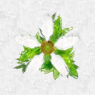 Beyaz arka planda güzel çiçekler