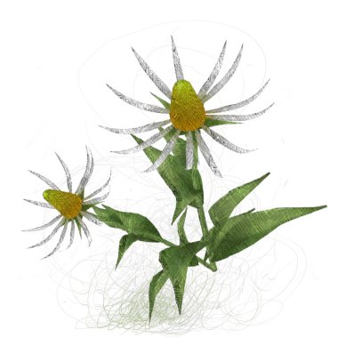 Beyaz arkaplanda izole edilmiş noel ağacı