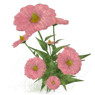 Beyaz arka planda izole edilmiş güzel pembe çiçekler.