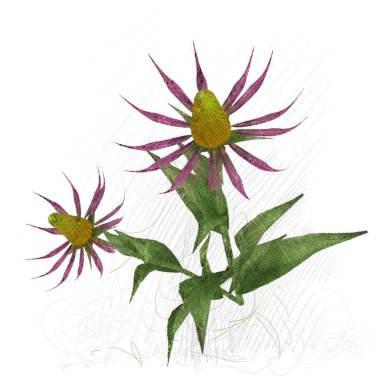 Beyaz arkaplanda izole edilmiş noel ağacı