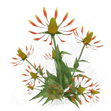 beyaz zemin üzerine suluboya çiçek