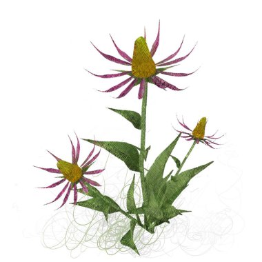 beyaz zemin üzerine suluboya çiçek