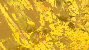 metin için alanı olan grunge arkaplanı 