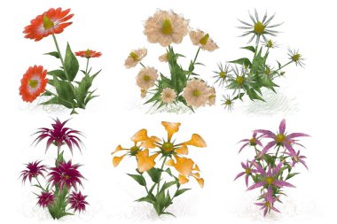 Beyaz arka planda suluboya çiçekler seti