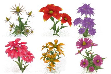 beyaz zemin üzerine suluboya çiçek