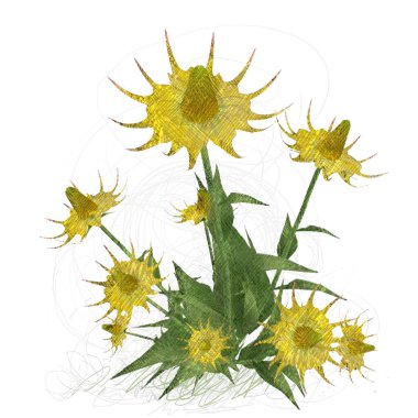 Beyaz arka planda izole dağınık grungy çiçekler