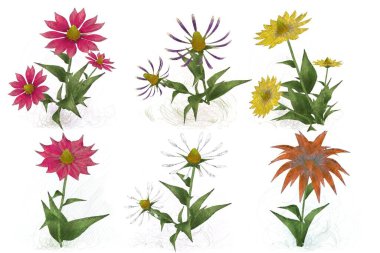 Beyaz arka planda suluboya çiçekler seti