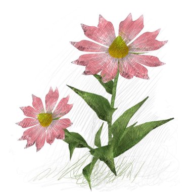 Beyaz arkaplanda güzel çiçekler 