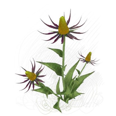 beyaz zemin üzerine suluboya çiçek