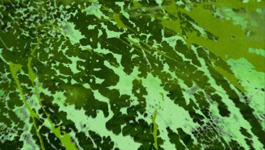 Metin için yeri olan boya lekeleriyle soyut arkaplan