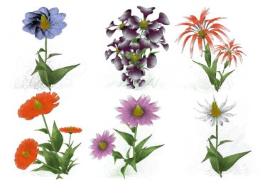 Beyaz arka planda güzel suluboya çiçekler