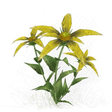 beyaz zemin üzerine suluboya çiçek