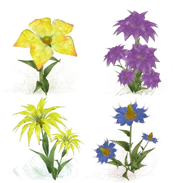 Set Watercolor Flowers White Background — Stock Photo, Image