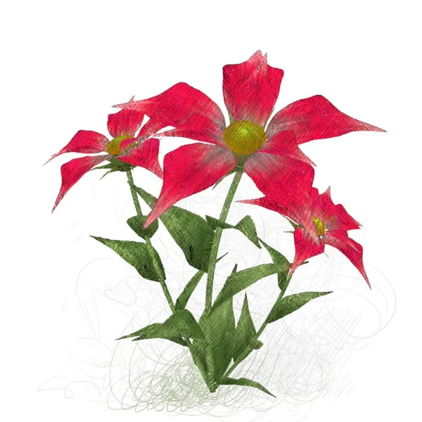 Beyaz arkaplanda kırmızı gül