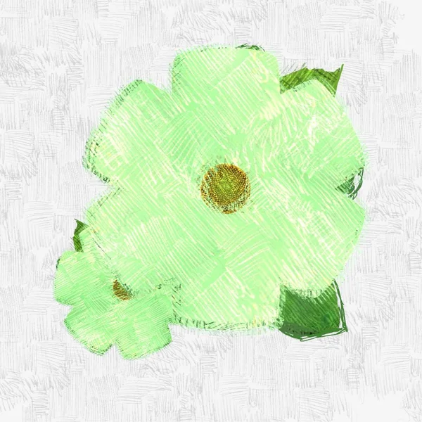 Πράσινα Φύλλα Λευκό Φόντο — Φωτογραφία Αρχείου