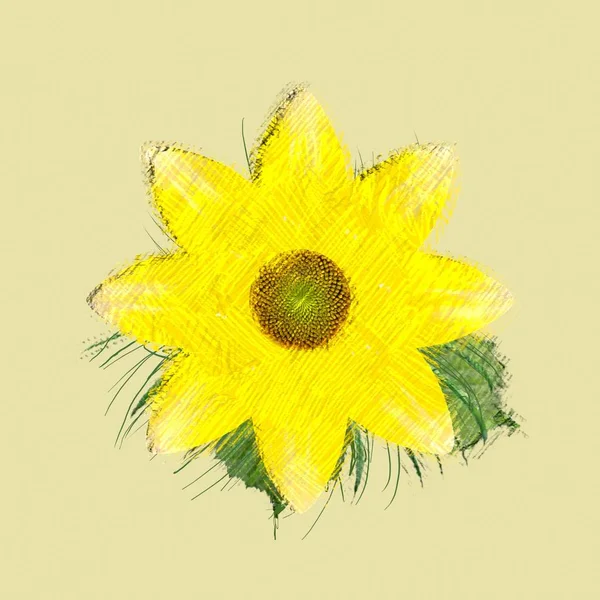 Flor Amarela Isolada Fundo Branco — Fotografia de Stock