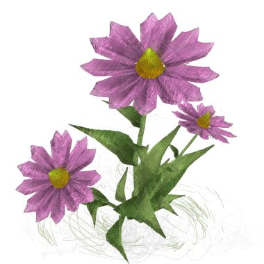 Beyaz arkaplanda izole edilmiş pembe çiçekler