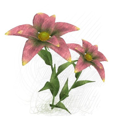 Beyaz arkaplanda pembe çiçekler