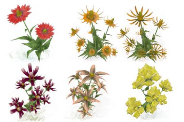 Beyaz arka planda suluboya çiçekler seti