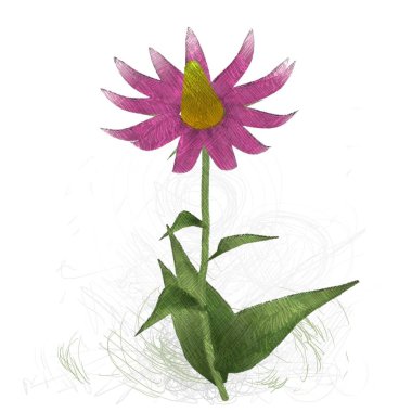 Beyaz arka planda izole çiçek