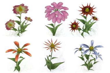 Beyaz arkaplanda güzel çiçekler