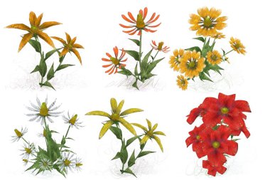 Beyaz arkaplanda güzel çiçekler