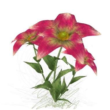 kırmızı gül beyaz arkaplanda izole