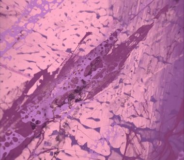 metin için alanı olan grunge arkaplanı