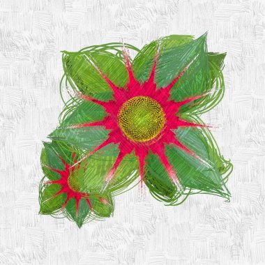 Beyaz arkaplanda güzel çiçekler