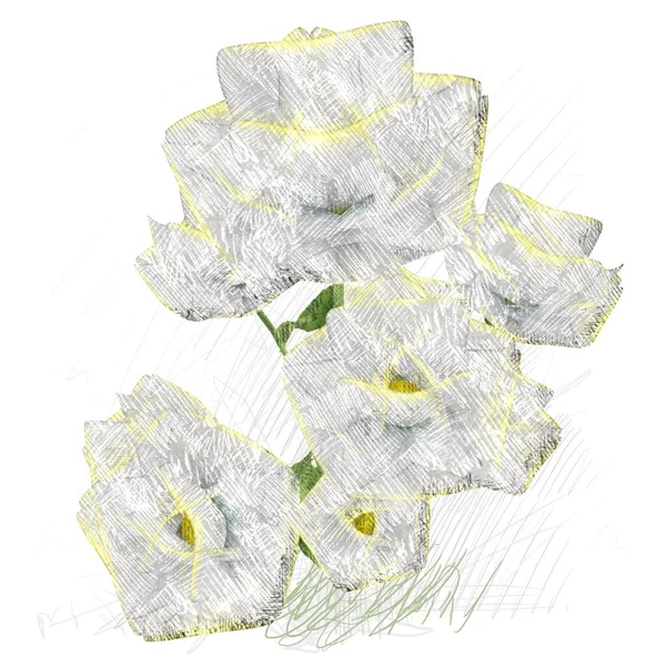 カラフルな花のテクスチャの背景 — ストック写真