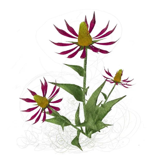 Акварельна Квітка Квітами — стокове фото