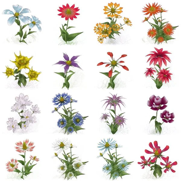 Çiçeklerle Kusursuz Desen — Stok fotoğraf