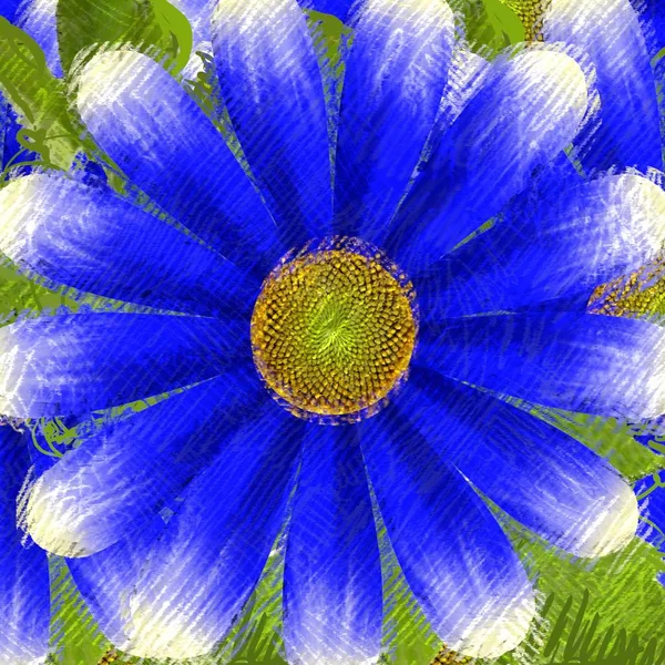 Gyönyörű Színes Virág Háttér — Stock Fotó