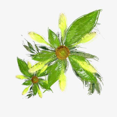 Renkli çiçek doku arka plan 