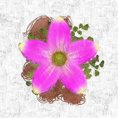 Beyaz arka planda güzel çiçekler