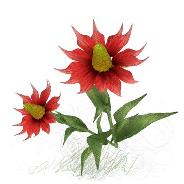 beyaz arkaplanda izole kırmızı çiçek